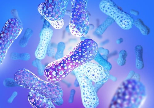 Probiotics vs. Prebiotics: What’s the Difference and why do you need both?